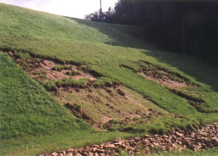 landslide in field